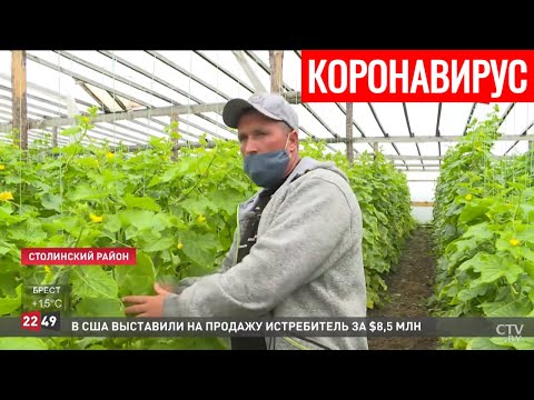 Коронавирус в Беларуси. Главное сегодня (28.05). Эффективно ли ношение масок и когда всё закончится?