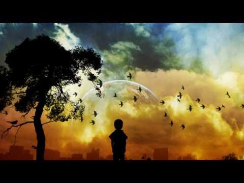 Carpe Diem - Freddy Sahin-Scholl