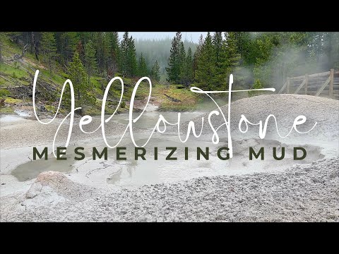 🎧 Yellowstone Mudpot Ambience
