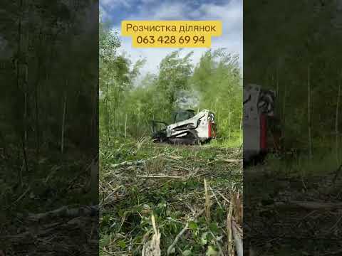Оренда Мульчера - для очищення ділянки від порослі