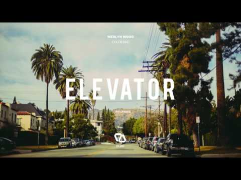 Merlyn Wood - Culdesac