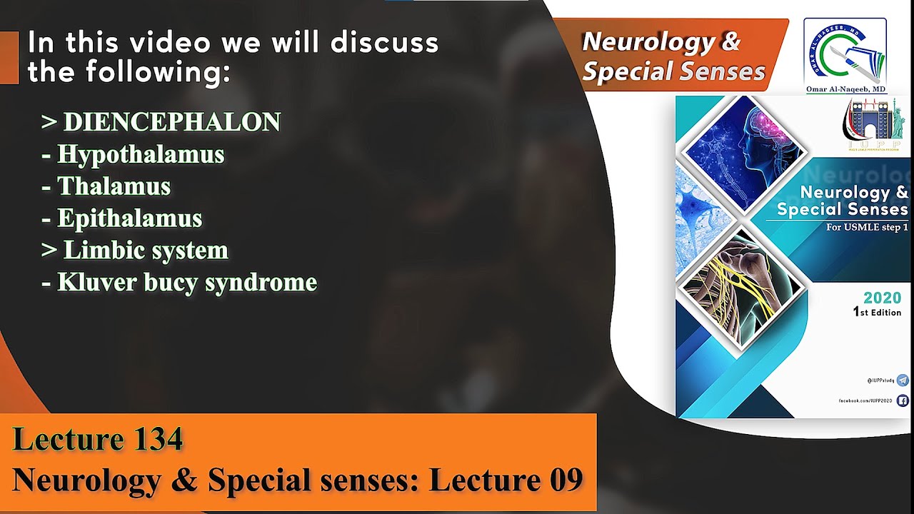 Hypothalamus || Thalamus || Limbic system || Papez circuit || Kluver bucy syndrome