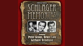 Das alte Haus von Rocky-Docky