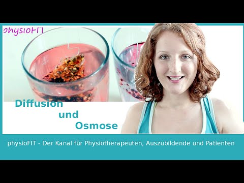Hypertension 3 Grad risk4 Nierenbeteiligung bei hypertensiven Erkrankung