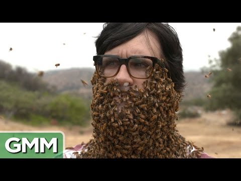 10,000 Bee Beard Video