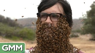 10,000 Bees Beard