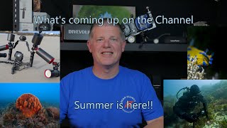 Channel Update: What's Next for Sean Elliott Underwater Video?