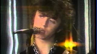 The Dogs : Shakin with Linda