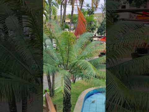 Cidadezinha de Macuco interior do RJ #aventura