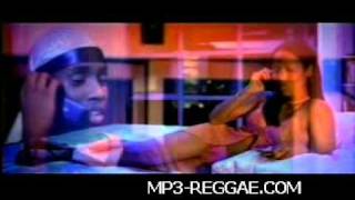 Baby Blue Soundcrew feat Kardinal Offishall, Sean Paul & Jully Black   Money Jane Reggae V  new songs dancehall ska roots