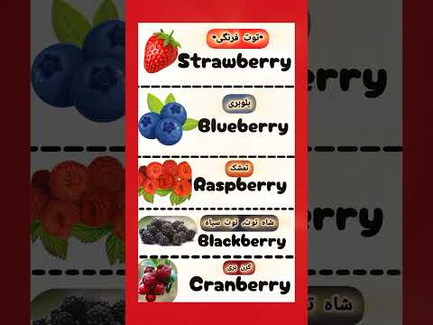 Berries 🍓🫐... توت ها