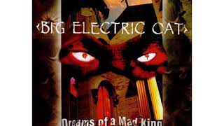 Big Electric Cat - Instro
