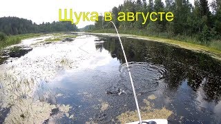 Ссылка