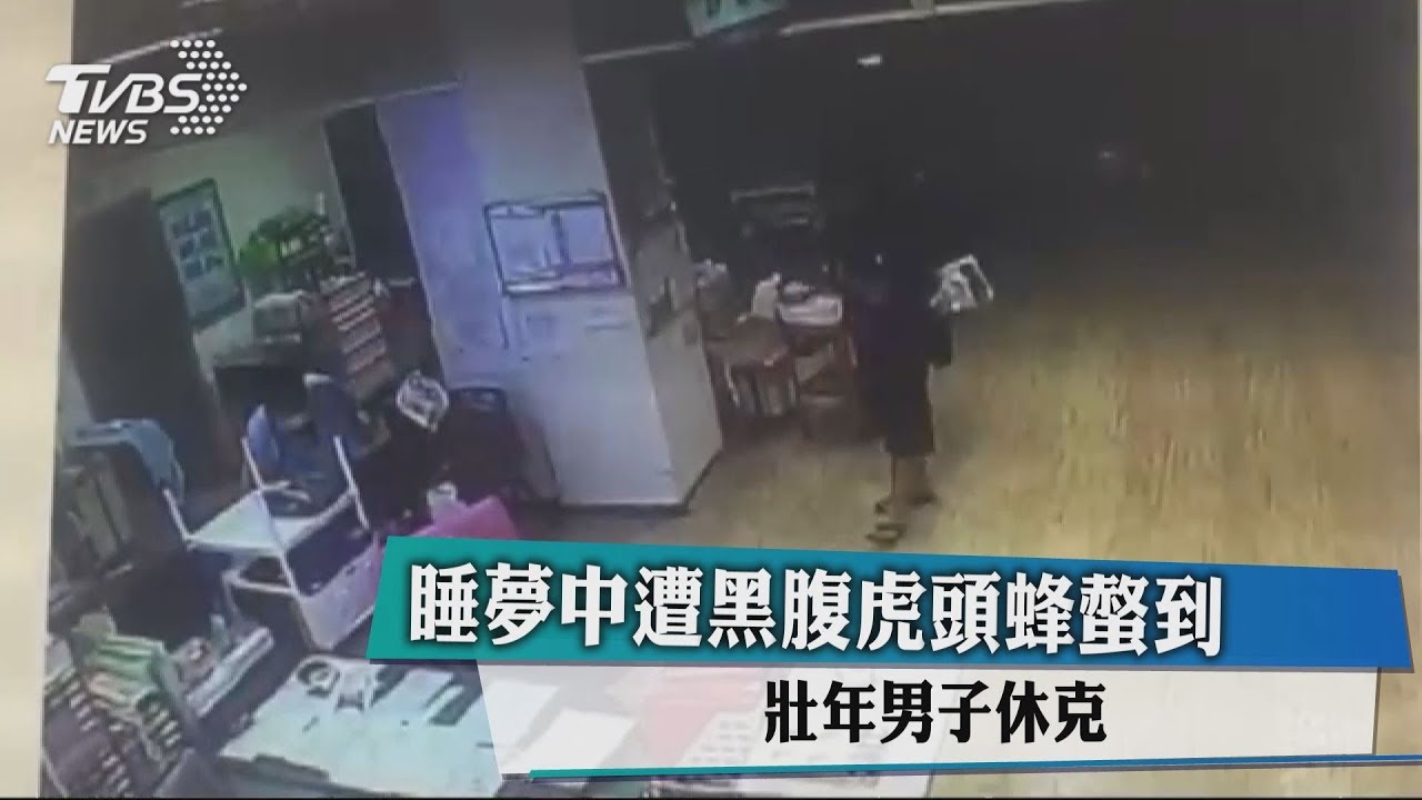 睡夢中遭黑腹虎頭蜂螫到　壯年男子休克