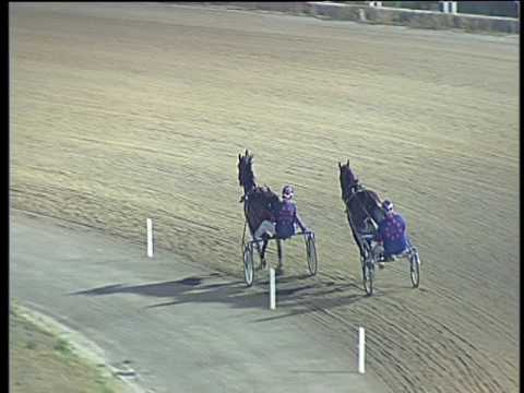 Trotto 27/07/2017 - 2ª prova di qualifica