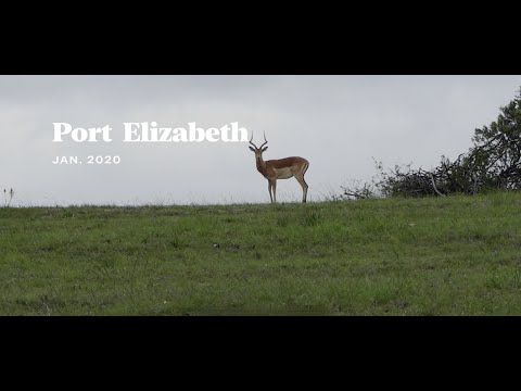 Weltreise AIDAaura 33 Port Elizabeth