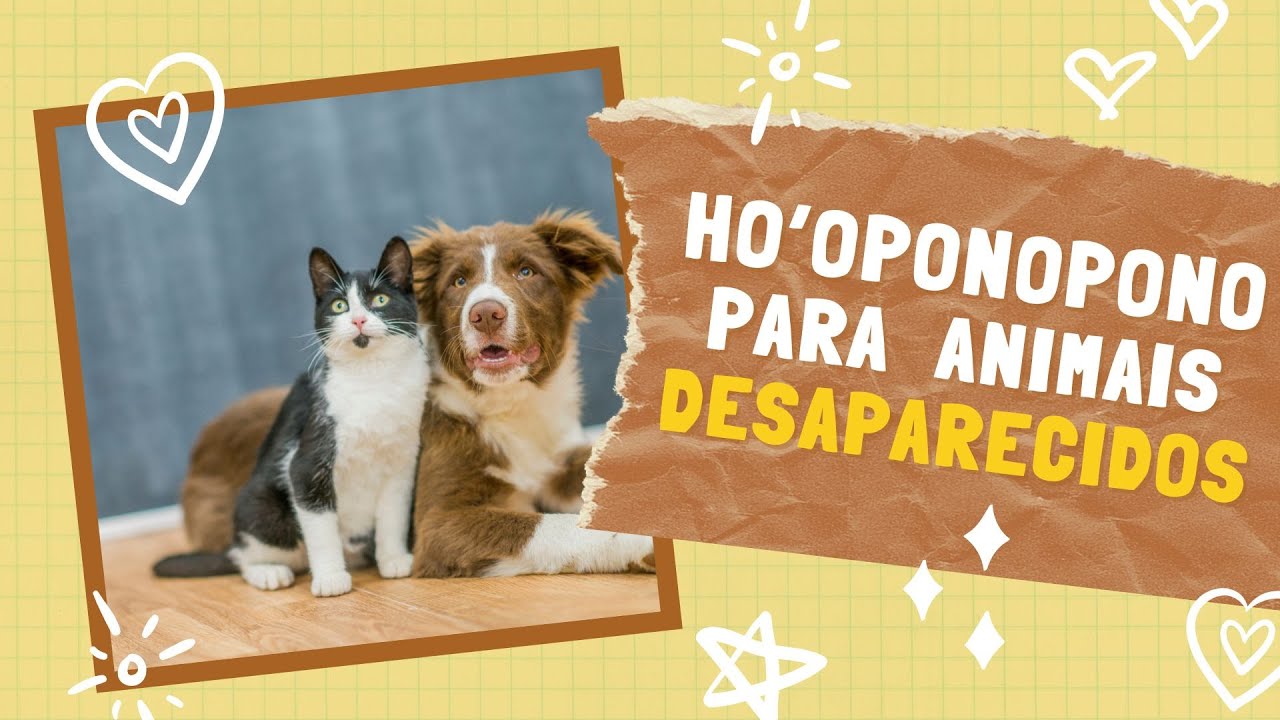 Ho'oponopono para Encontrar Animais Perdidos ou Desaparecidos