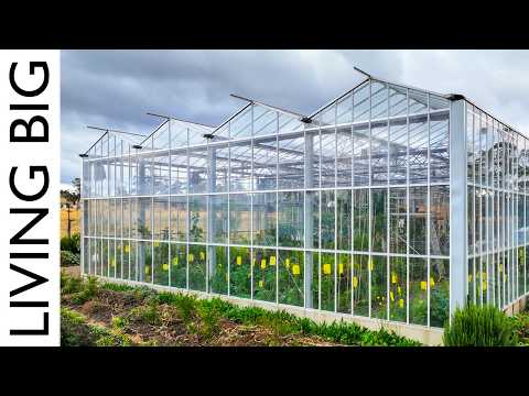NZ Man's Tiny Home Thrives Inside Giant Greenhouse