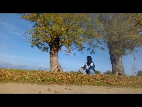 La pas, prin comuna Secusigiu (jud. Arad) 🏘️ Walking, through Secusigiu commune (Arad county)