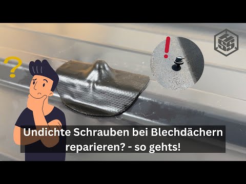 Undichte Schrauben bei Blechdächern reparieren? - so gehts! HSS Schrauben Reparaturflicken SET