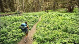 Ecotourism, what is it(Ap Human Geography assignment)