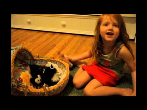 How to socialize a kitten~Having young children makes this part easy!