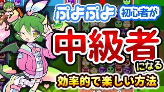 【ぷよ勢必見】中級者に早くなれる方法を5分で説明します【ゆっくり解説/ぷよぷよテトリス2/ぷよぷよeスポーツ/ゆっくり実況/初心者向け】