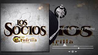 Hierba, Polvo y Plomo Music Video