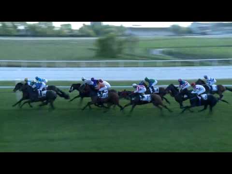 2017.04.30. 8. futam - BATTHYÁNY-HUNYADY DÍJ (HUN Gd-2) (NGL - I.)