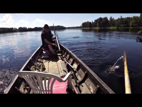 Lohensoutua Tornionjoella