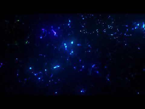 Juan Sapia - Radian (Original Mix)