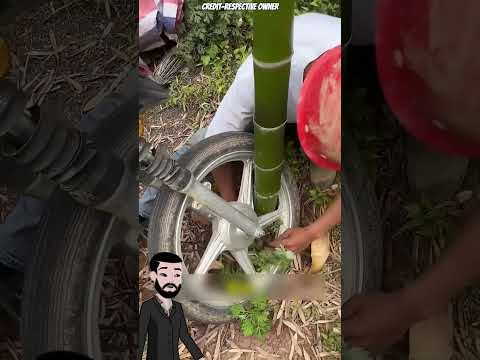 😱 A Uitat Motocicleta În Junglă… Iar Ce A Găsit După O Lună E Incredibil 🌿🏍️