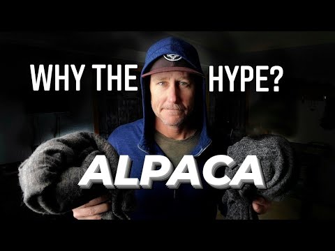 Why are ALPACA hoodies so popular?  | App Gear Co | Arms of Andes | PAKA