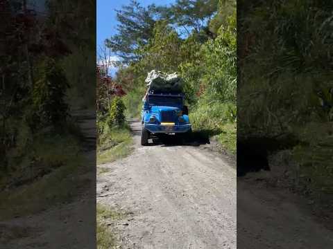 espectacular carpati cargado de 150 bolsas de plátano hacia el Líbano Tolima #campo #carpati