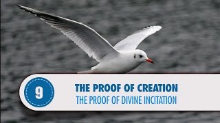 Video: Nature receives divine inspiration - Quran Miracle