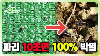 10초만에 100% 확률로 파리 박멸해 드립니다.ㅣ 뿌리기만 하면 끝 ㅣ 파리는 더 이상 없다