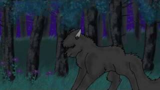 Crowfeather AMV - It's All Over Now