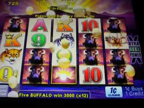 BONUS WIN ARISTOCRAT BUFFALO SLOT MACHINE FUN BONUS