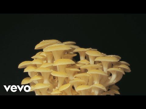 Weston Estate - Pressure