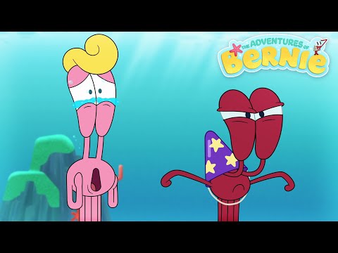 NEW The Adventures of Bernie 😱 Shell Thief 🐚 Zig & Sharko - Cartoons for Kids