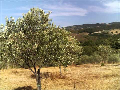 chantal Prestigiacomo - Grazie