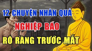 12 Câu Chuyện Nhân Quả Có Thật – Nghiệp Báo Rõ Ràng Trước Mắt