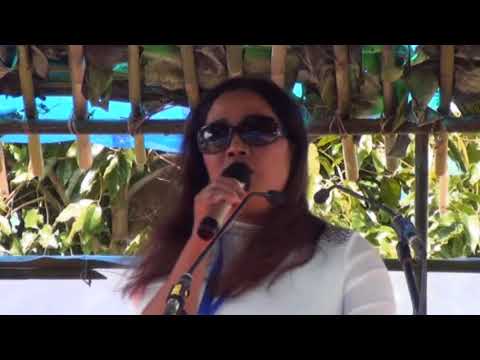 C. Luri - Lawmthu sawina hla (Live 2017)