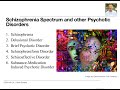 DSM-5 Schizophrenia Spectrum and other Psychotic Disorders