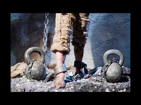 Descatusat - Robert Allport