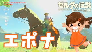 野生のエポナに出会えるか調査してみた【ゼルダの伝説ブレスオブザワイルド女性実況】～今日もゼルダを救えない#95