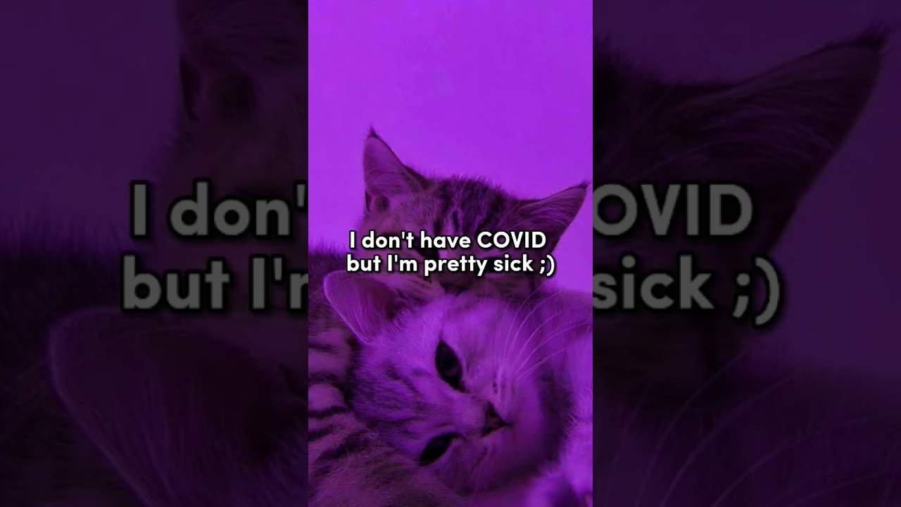 10 Hilarious Instagram Captions for Your Videos