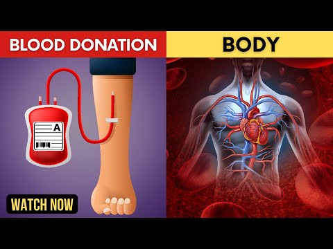 What Happens to Your Body After You Donate Blood