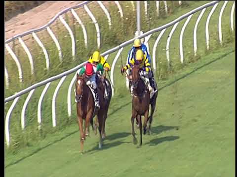 Galoppo 27/07/2018 - 1ª corsa