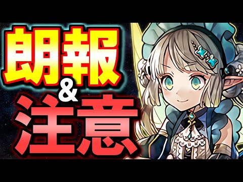 パティについて詳しく解説